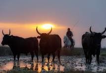 Garda d'iver, per J. d'Arbaud (30.10.2025)